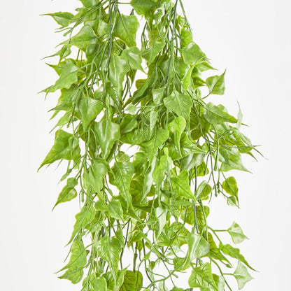 Hanging Leaf Bush Green