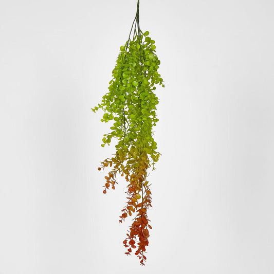 Hanging Eucalyptus Green Red