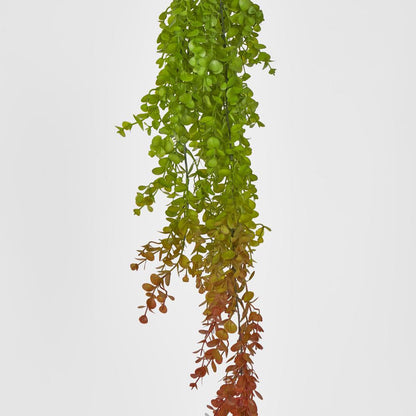 Hanging Eucalyptus Green Red