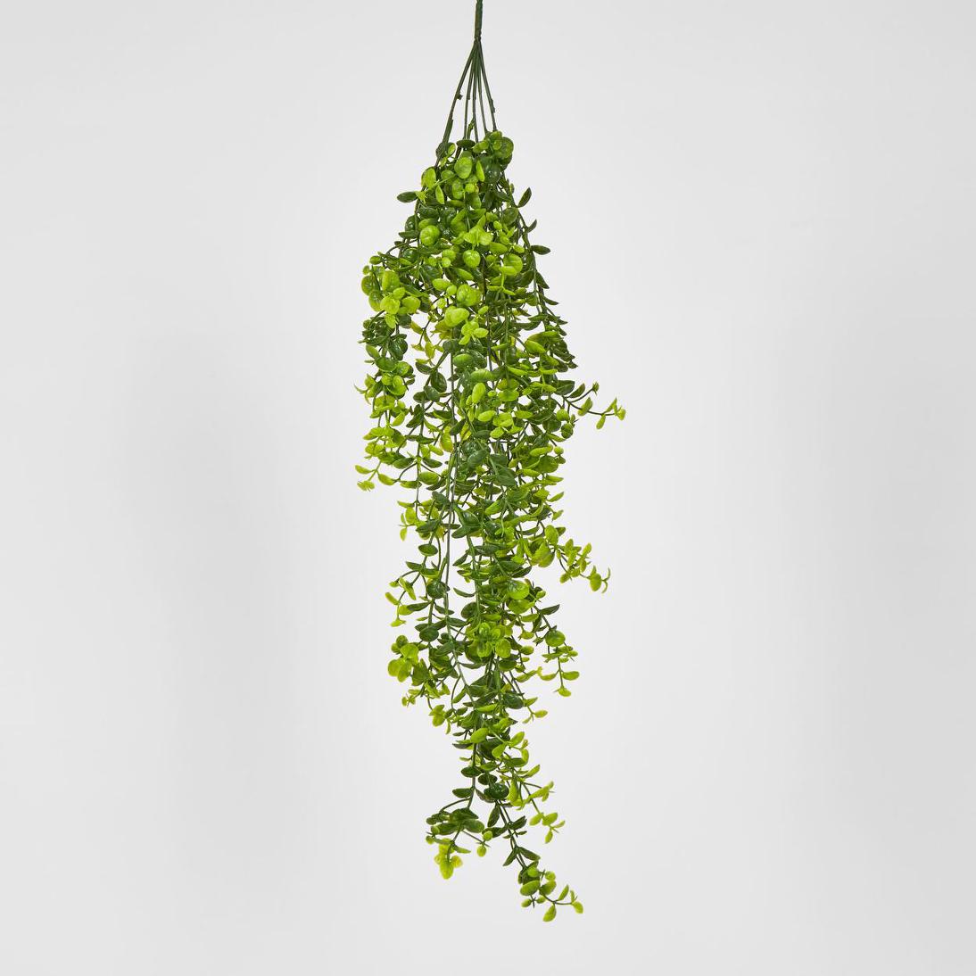 Hanging Buxus Greenery
