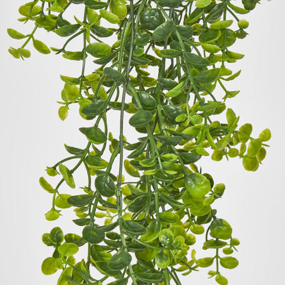 Hanging Buxus Greenery