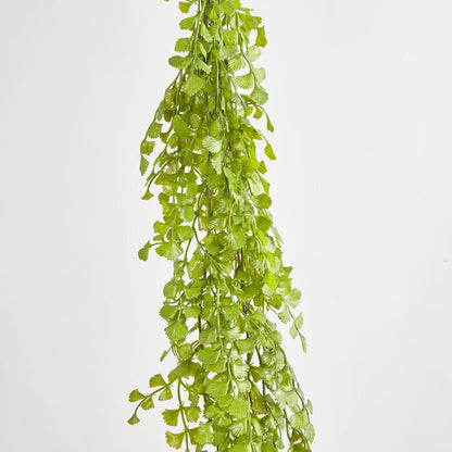 Button Hanging Fern
