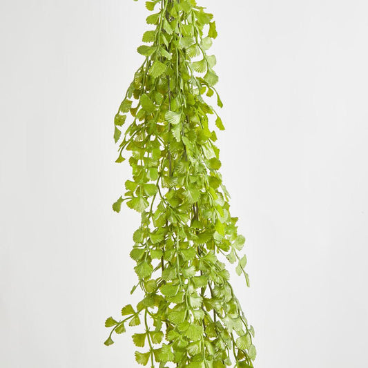 Button Hanging Fern