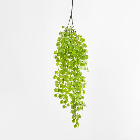 Hanging Buxus Greenery Light Green