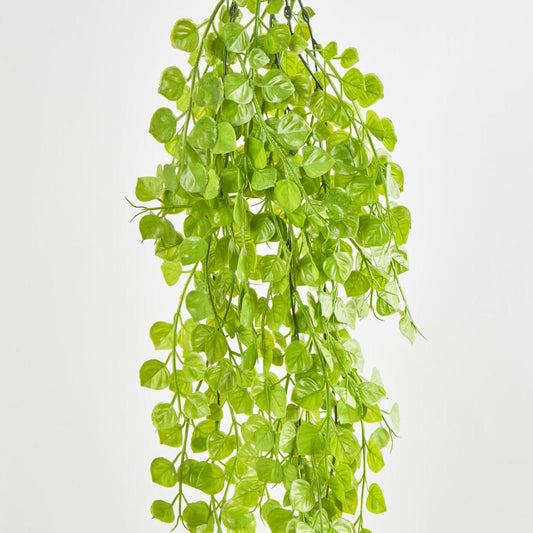 Hanging Buxus Greenery Light Green
