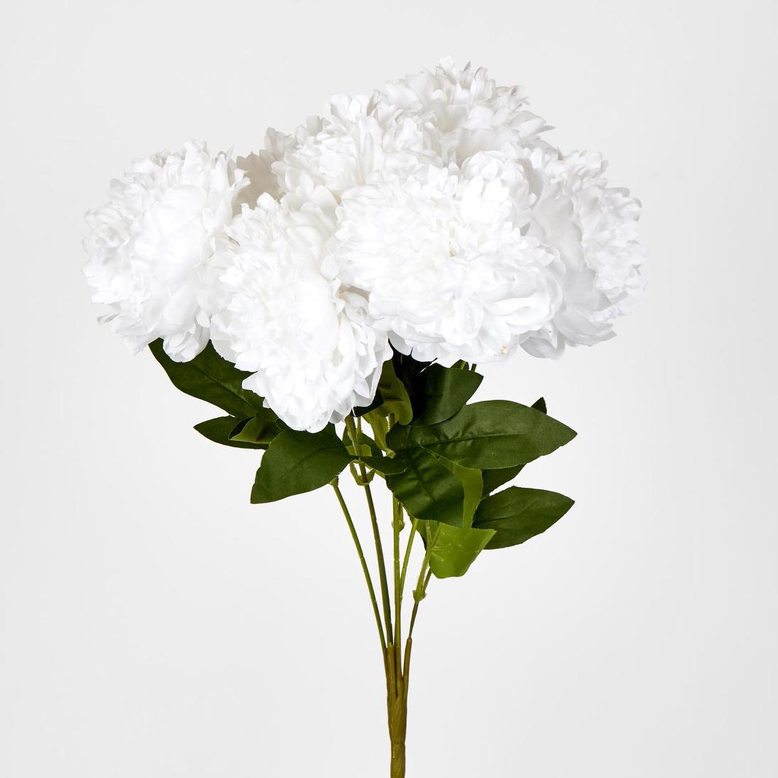 Peony Bush x 7 White