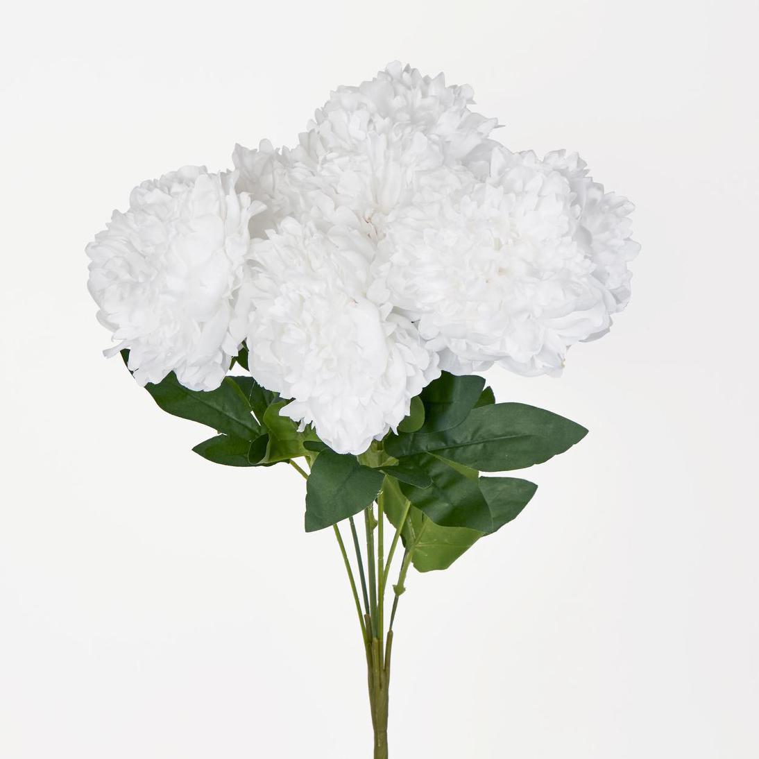 Peony Bush x 7 White