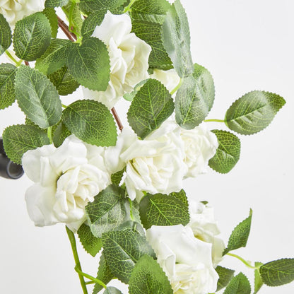 Trailing Rose Spray White Hanging