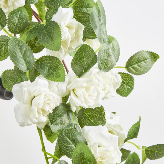 Trailing Rose Spray White Hanging