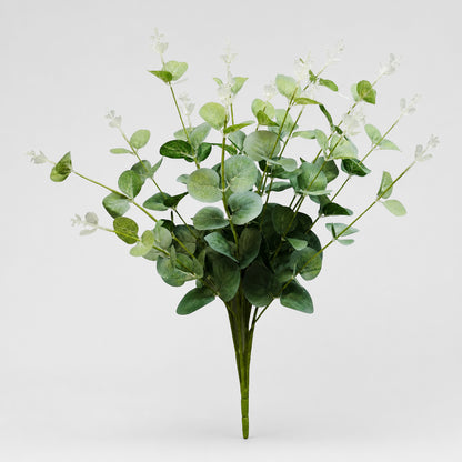 Eucalyptus Bush Dark Green