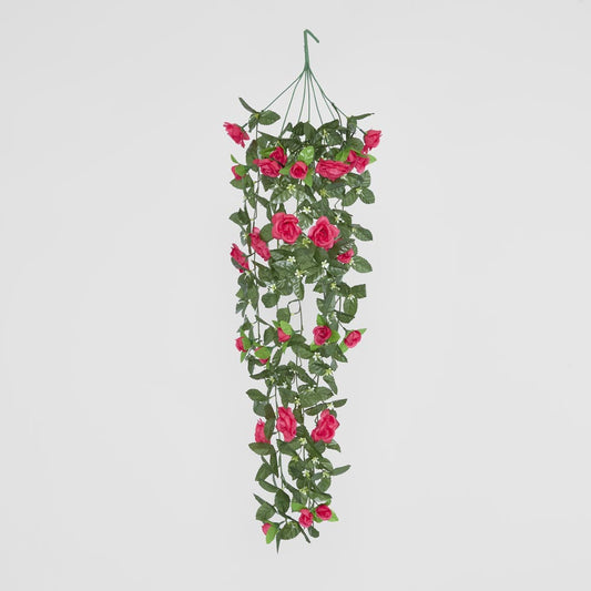 Hanging Rose Bush Fuchsia
