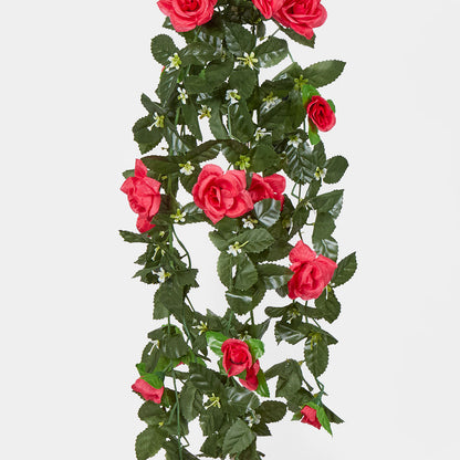 Hanging Rose Bush Fuchsia