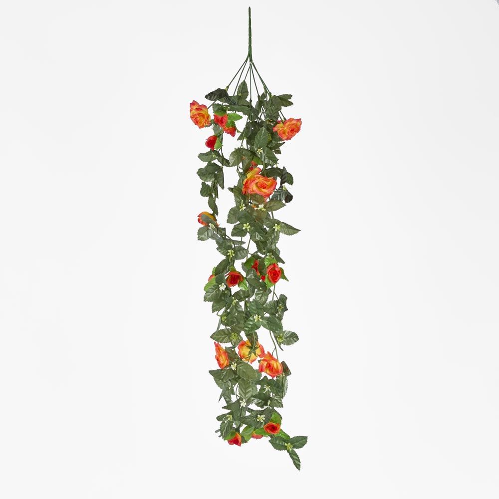 Hanging Rose Bush Orange