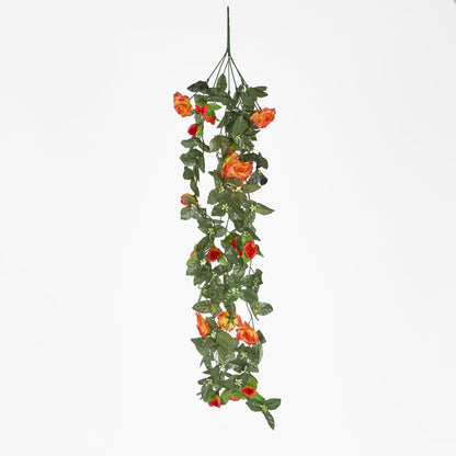 Hanging Rose Bush Orange