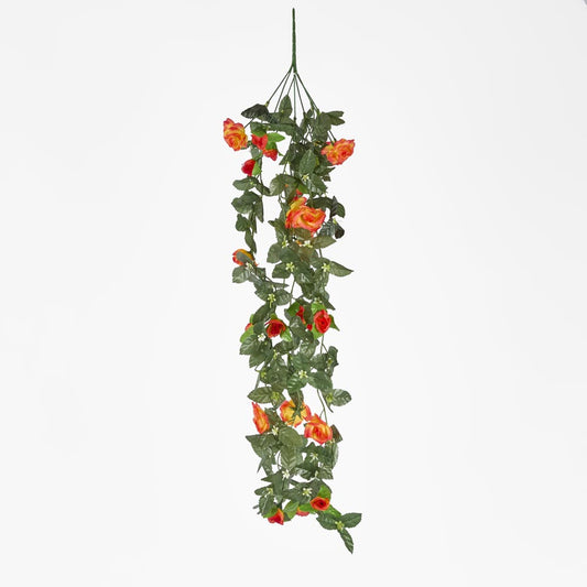 Hanging Rose Bush Orange