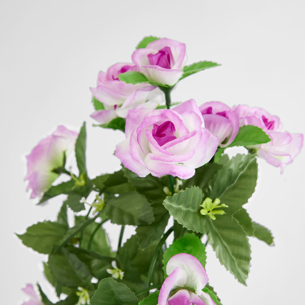 Hanging Rose Vine Purple