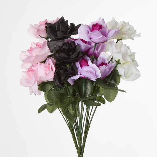 Rose Bush Asstd AB Box of 60