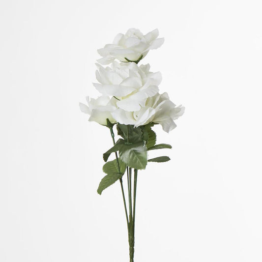 Rose Bush Asstd AB Box of 60