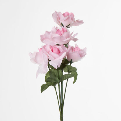 Rose Bush Asstd AB Box of 60