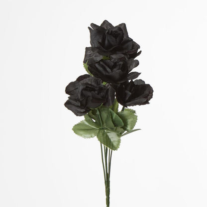 Rose Bush Asstd AB Box of 60