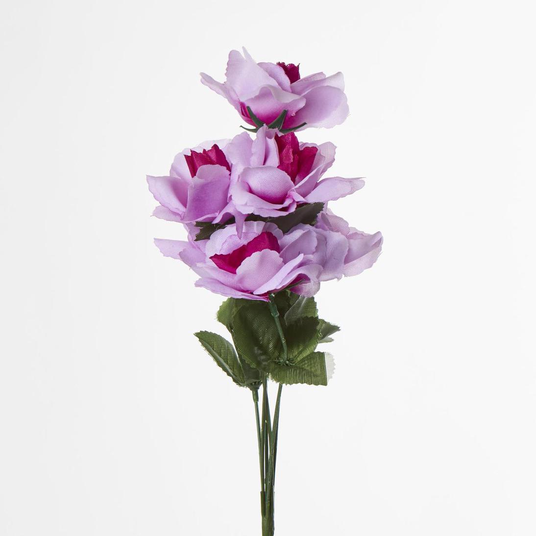 Rose Bush Asstd AB Box of 60