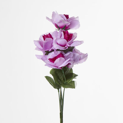 Rose Bush Asstd AB Box of 60