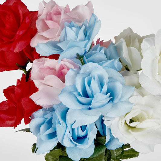 Rose Bush Asstd B Box of 60