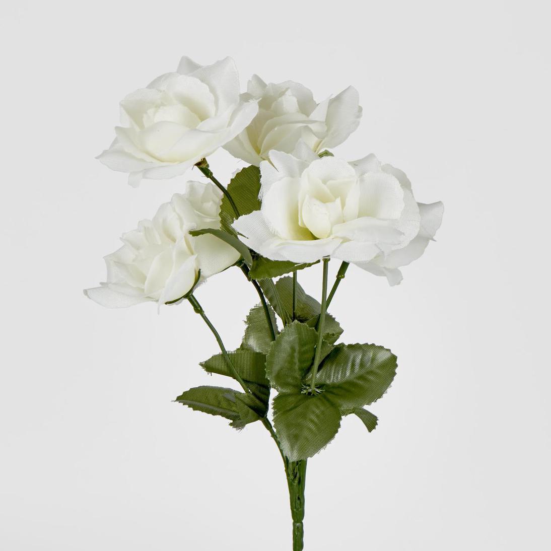 Rose Bush Asstd B Box of 60