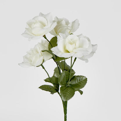Rose Bush Asstd B Box of 60