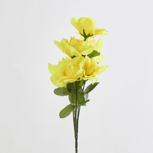Rose Bush Asstd C Box of 60