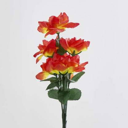Rose Bush Asstd C Box of 60