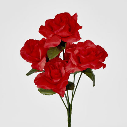 Rose Bush Asstd E Box of 60