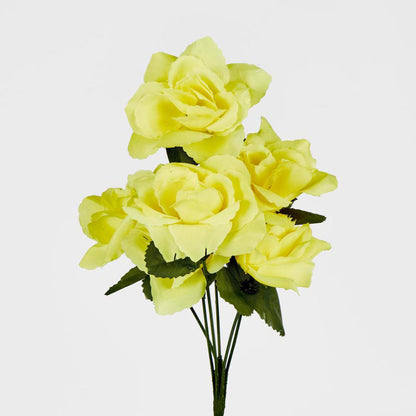 Rose Bush Asstd E Box of 60