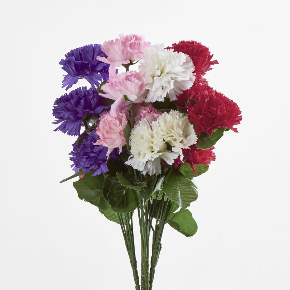Carnation Bush Asstd Box of 60