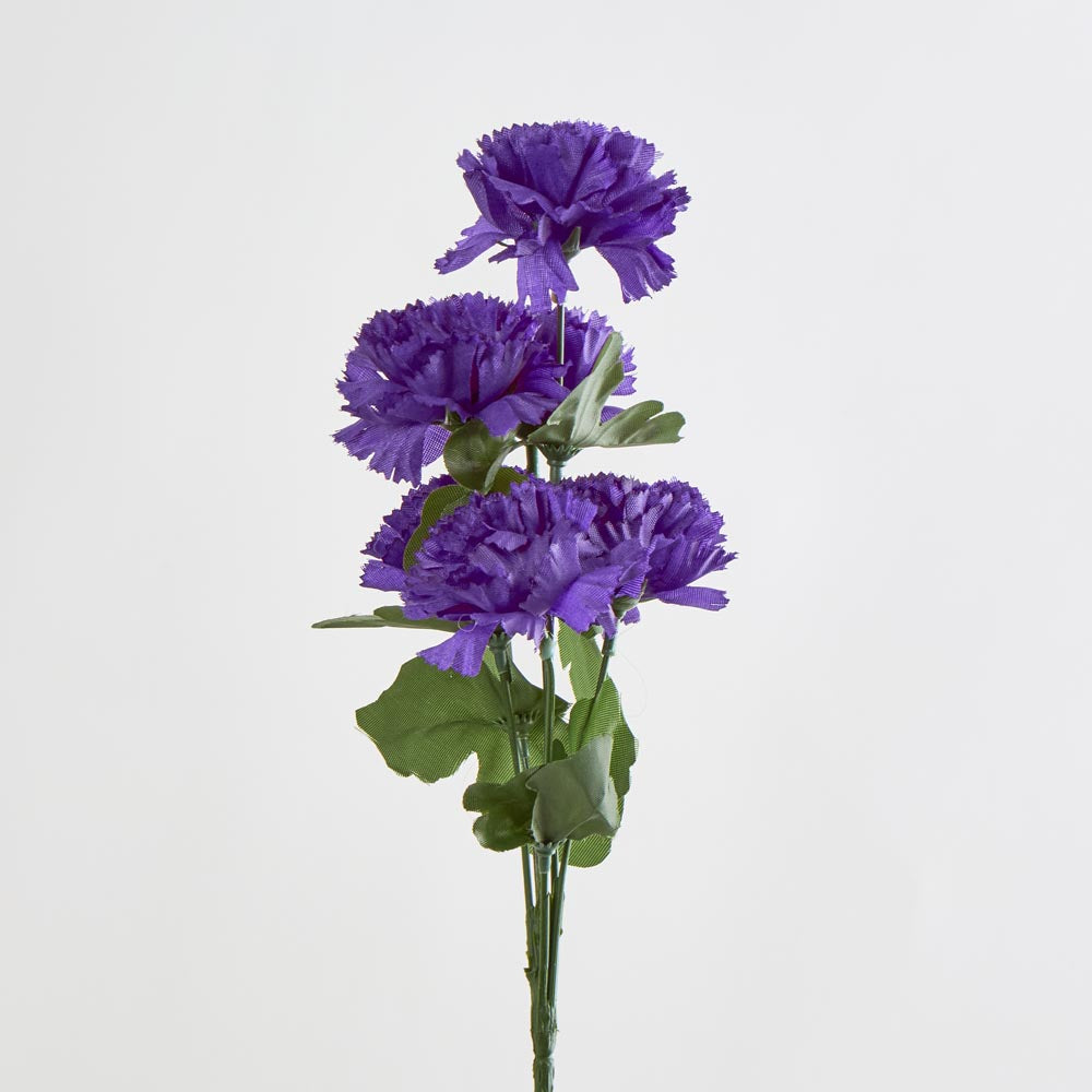 Carnation Bush Asstd Box of 60