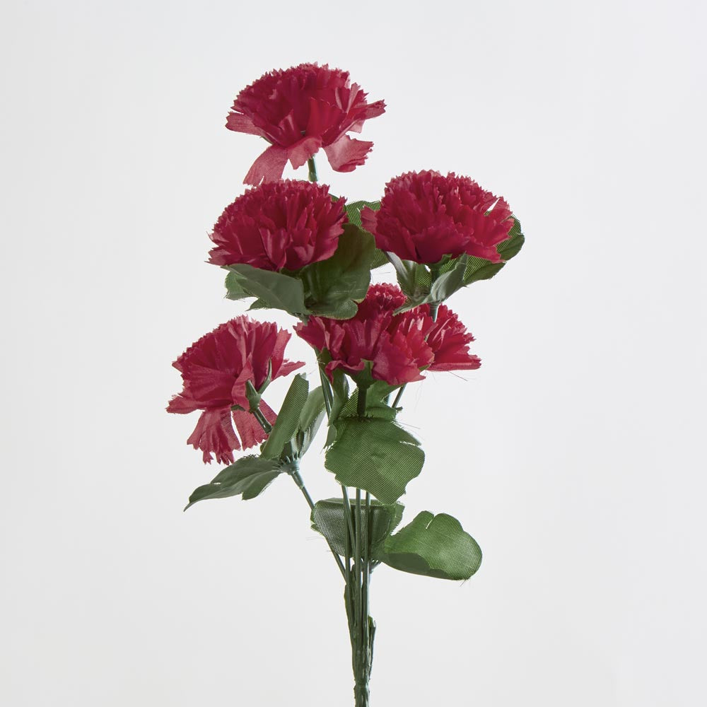 Carnation Bush Asstd Box of 60