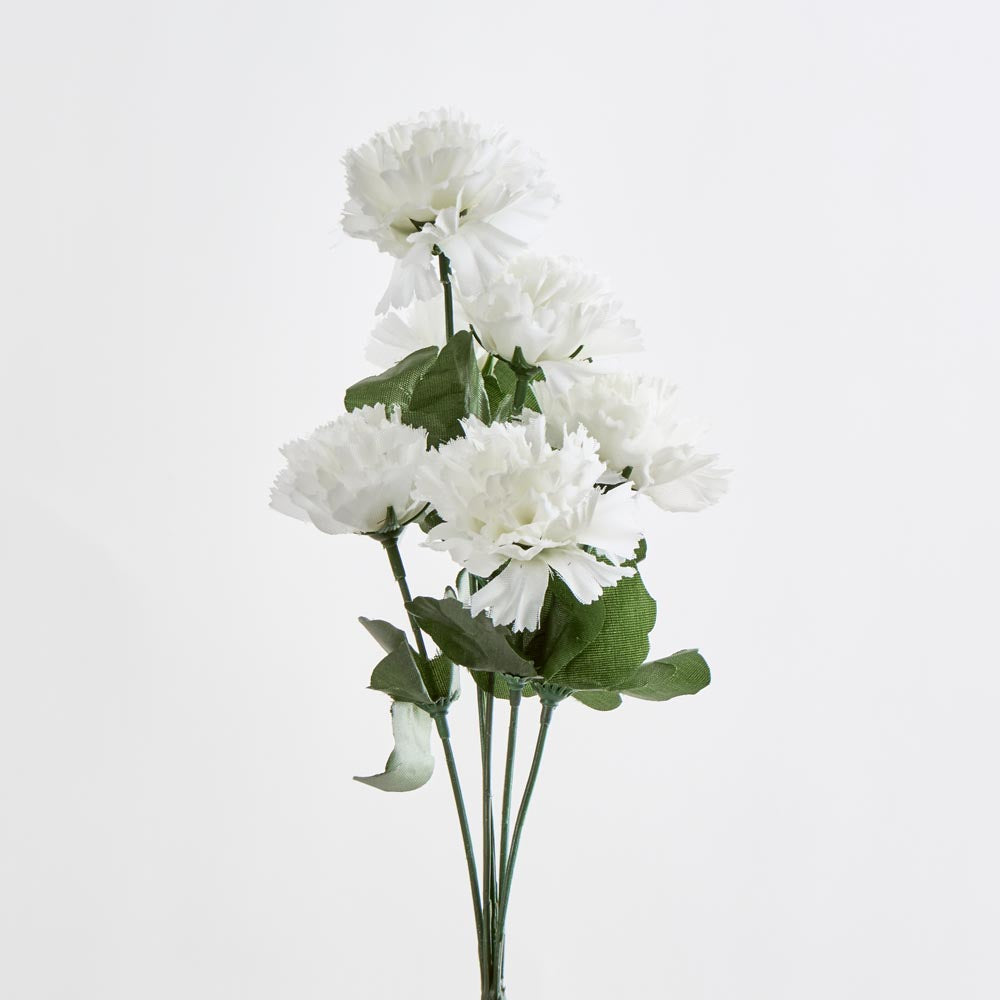 Carnation Bush Asstd Box of 60