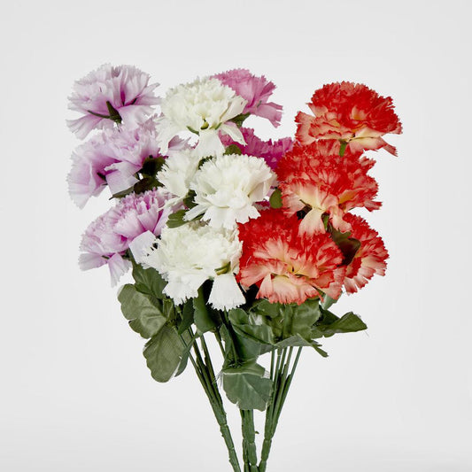 Carnation Bush B Asstd Box of 60