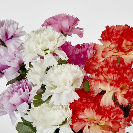Carnation Bush B Asstd Box of 60
