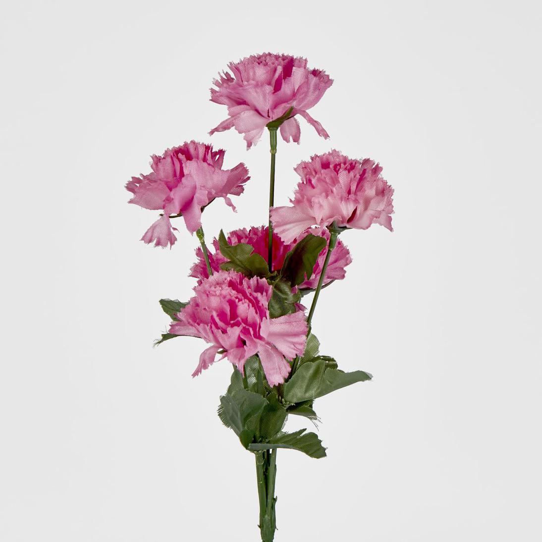Carnation Bush B Asstd Box of 60