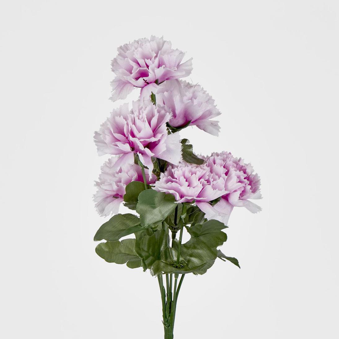 Carnation Bush B Asstd Box of 60