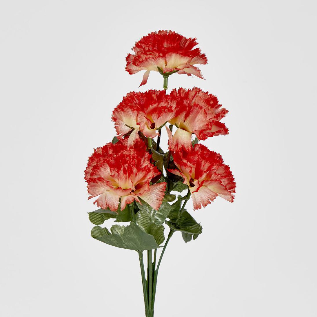 Carnation Bush B Asstd Box of 60
