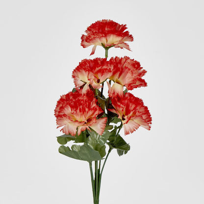 Carnation Bush B Asstd Box of 60