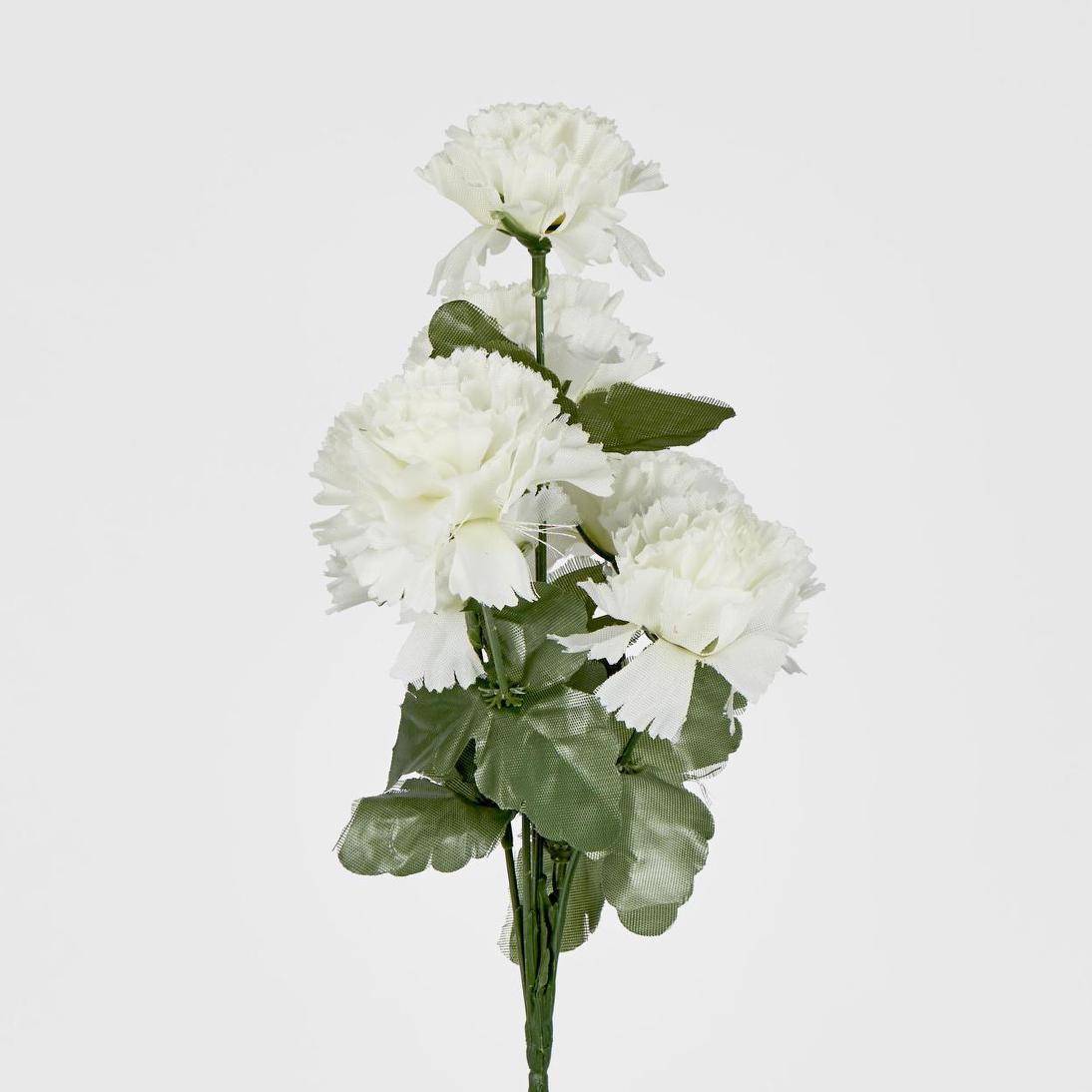 Carnation Bush B Asstd Box of 60