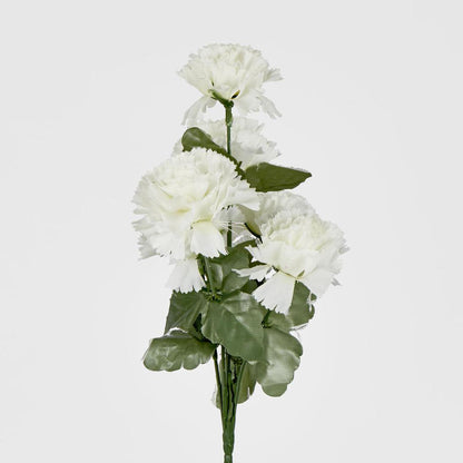 Carnation Bush B Asstd Box of 60