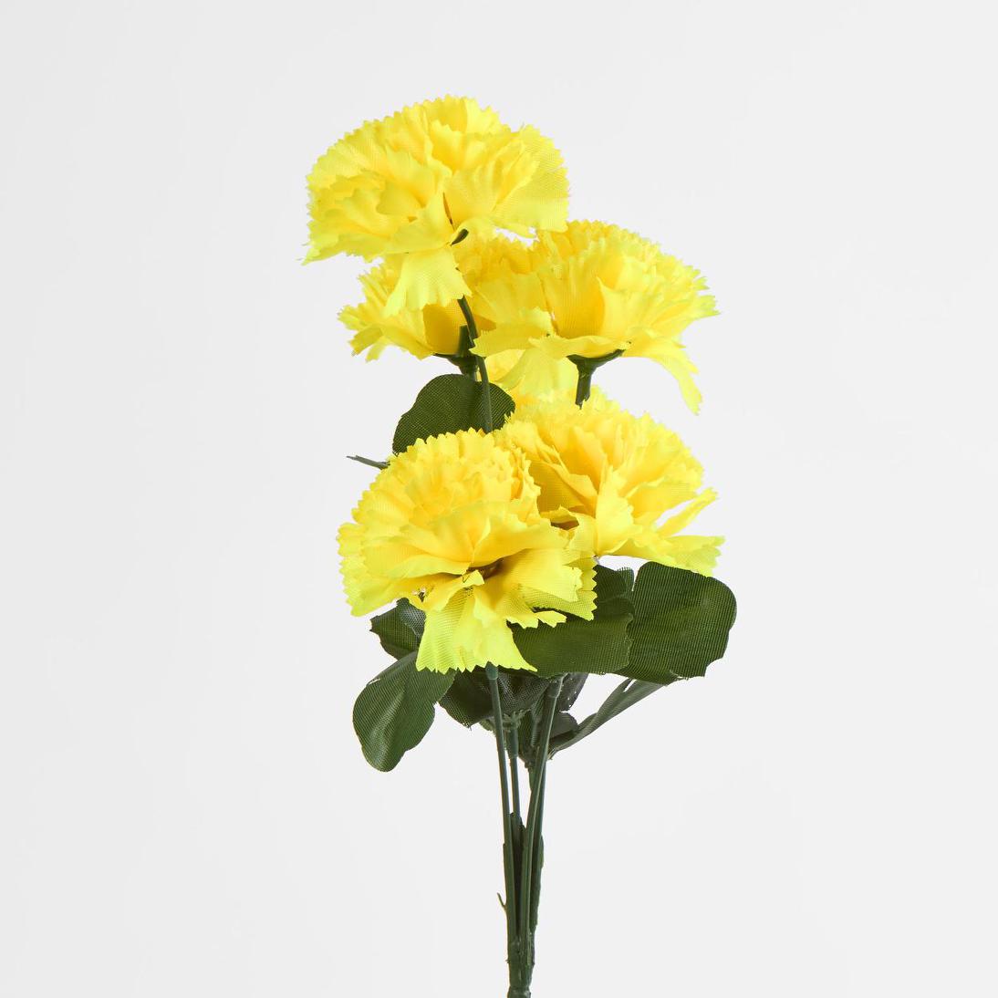 Carnation Bush C Asstd Box of 60