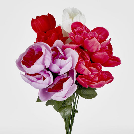 Peony Bush Asstd Box of 60