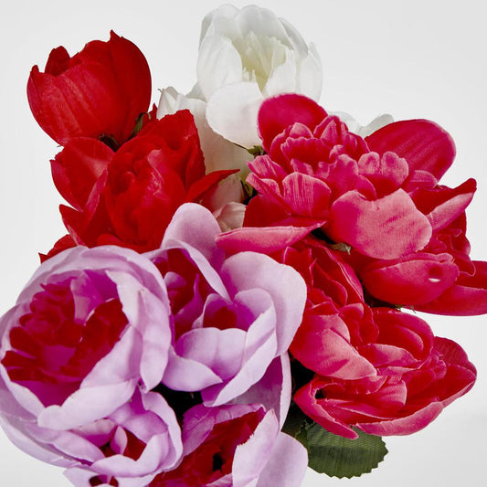 Peony Bush Asstd Box of 60