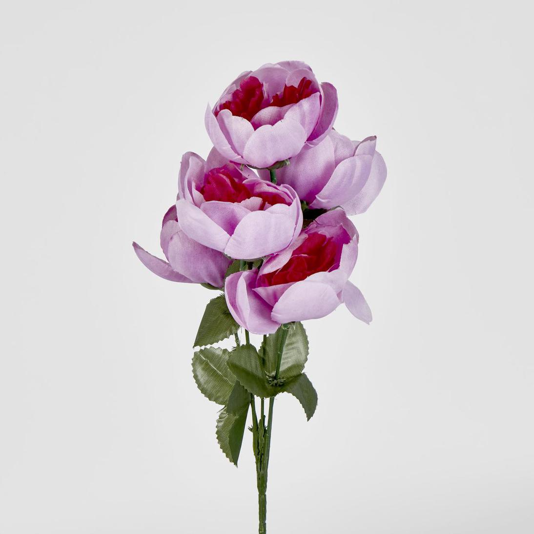 Peony Bush Asstd Box of 60