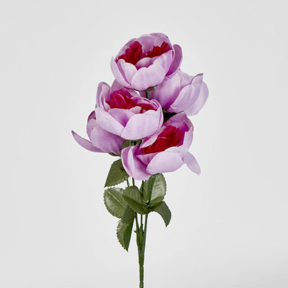 Peony Bush Asstd Box of 60